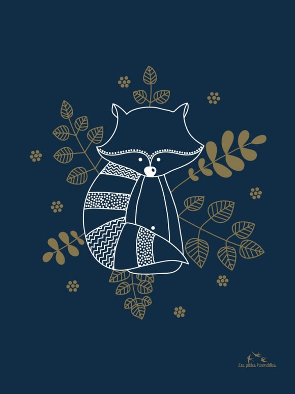 Affiche raton laveur - Vanille Coton